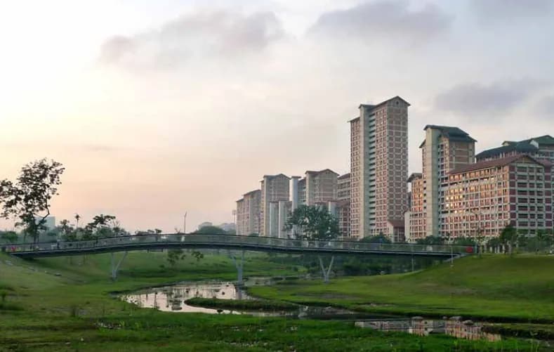 "Flooding" in Bishan-Ang Mo Kio Park? It's called a Bioswale.